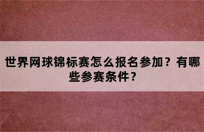 世界网球锦标赛怎么报名参加？有哪些参赛条件？