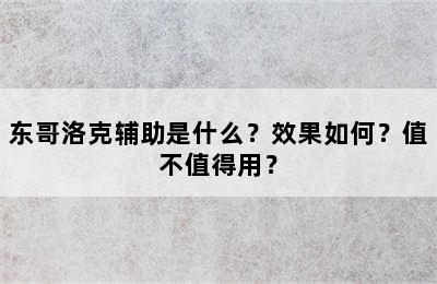 东哥洛克辅助是什么？效果如何？值不值得用？