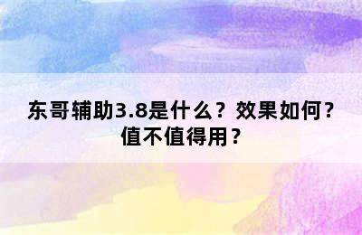 东哥辅助3.8是什么？效果如何？值不值得用？