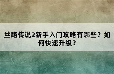 丝路传说2新手入门攻略有哪些？如何快速升级？