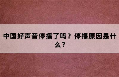 中国好声音停播了吗？停播原因是什么？