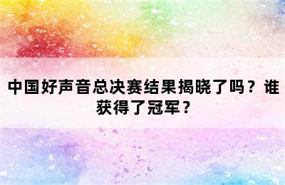 中国好声音总决赛结果揭晓了吗？谁获得了冠军？