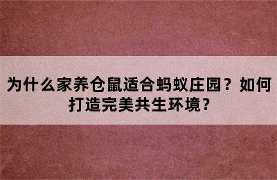 为什么家养仓鼠适合蚂蚁庄园？如何打造完美共生环境？