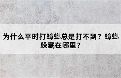 为什么平时打蟑螂总是打不到？蟑螂躲藏在哪里？