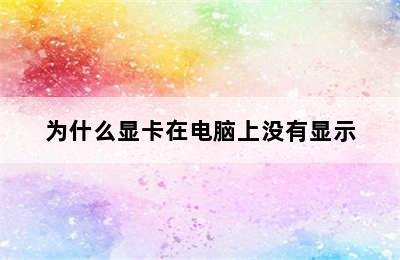 为什么显卡在电脑上没有显示