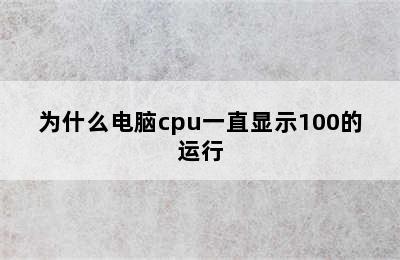 为什么电脑cpu一直显示100的运行