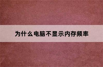 为什么电脑不显示内存频率