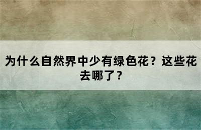 为什么自然界中少有绿色花？这些花去哪了？