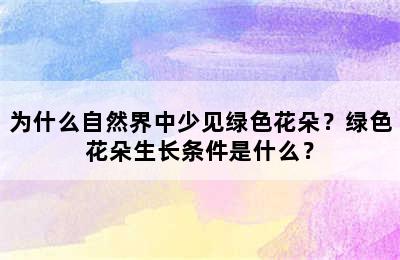 为什么自然界中少见绿色花朵？绿色花朵生长条件是什么？