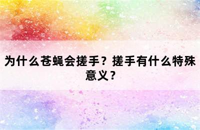 为什么苍蝇会搓手？搓手有什么特殊意义？