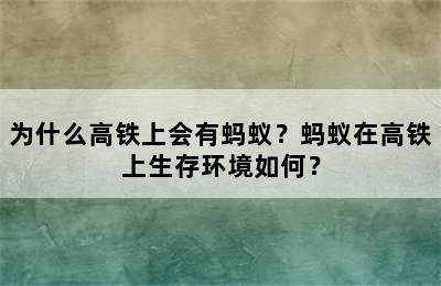 为什么高铁上会有蚂蚁？蚂蚁在高铁上生存环境如何？