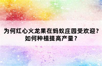 为何红心火龙果在蚂蚁庄园受欢迎？如何种植提高产量？