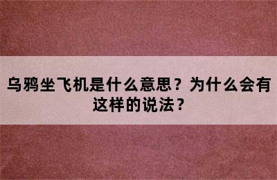 乌鸦坐飞机是什么意思？为什么会有这样的说法？