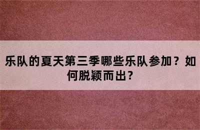 乐队的夏天第三季哪些乐队参加？如何脱颖而出？