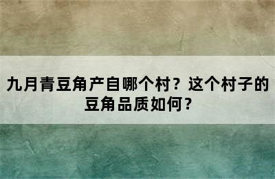 九月青豆角产自哪个村？这个村子的豆角品质如何？