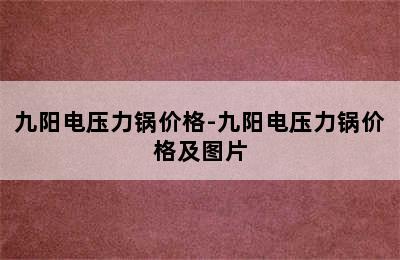 九阳电压力锅价格-九阳电压力锅价格及图片