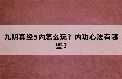 九阴真经3内怎么玩？内功心法有哪些？