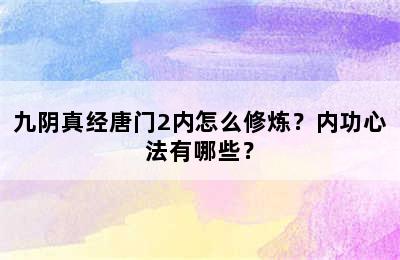 九阴真经唐门2内怎么修炼？内功心法有哪些？