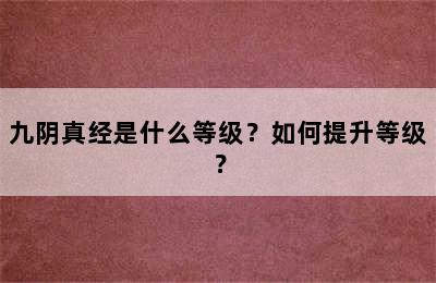 九阴真经是什么等级？如何提升等级？