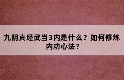 九阴真经武当3内是什么？如何修炼内功心法？