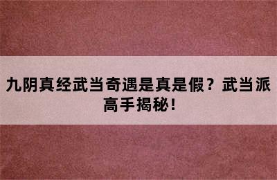 九阴真经武当奇遇是真是假？武当派高手揭秘！