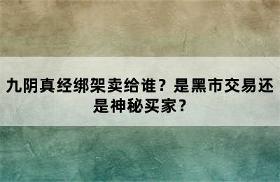 九阴真经绑架卖给谁？是黑市交易还是神秘买家？