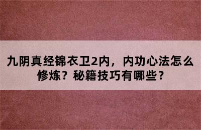 九阴真经锦衣卫2内，内功心法怎么修炼？秘籍技巧有哪些？