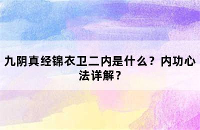 九阴真经锦衣卫二内是什么？内功心法详解？