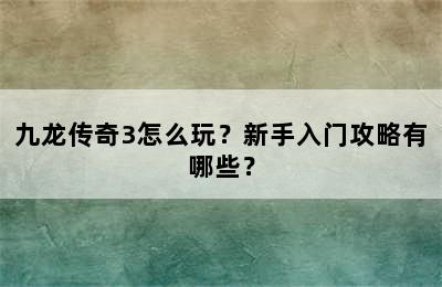 九龙传奇3怎么玩？新手入门攻略有哪些？