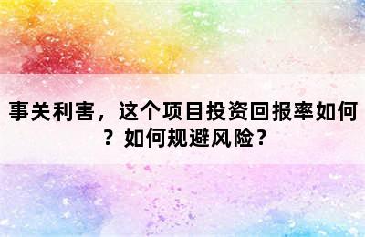 事关利害，这个项目投资回报率如何？如何规避风险？