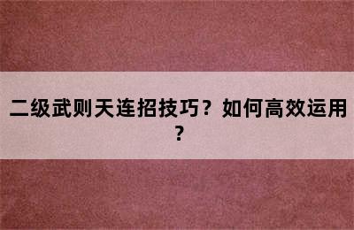 二级武则天连招技巧？如何高效运用？