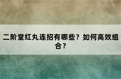 二阶堂红丸连招有哪些？如何高效组合？