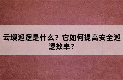 云缨巡逻是什么？它如何提高安全巡逻效率？