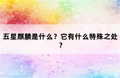 五星麒麟是什么？它有什么特殊之处？