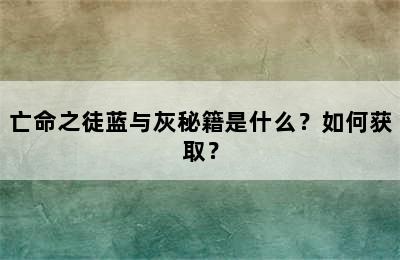 亡命之徒蓝与灰秘籍是什么？如何获取？