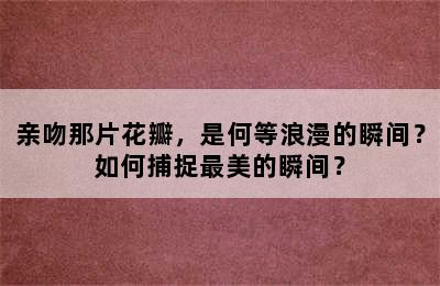 亲吻那片花瓣，是何等浪漫的瞬间？如何捕捉最美的瞬间？