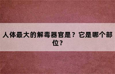 人体最大的解毒器官是？它是哪个部位？