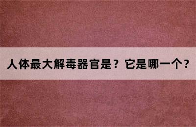 人体最大解毒器官是？它是哪一个？