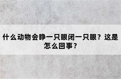 什么动物会睁一只眼闭一只眼？这是怎么回事？