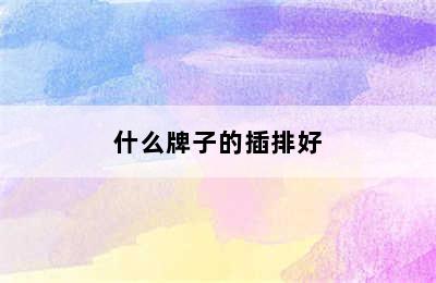 什么牌子的插排好