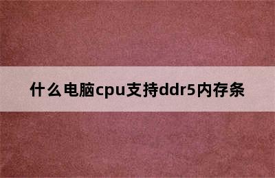 什么电脑cpu支持ddr5内存条