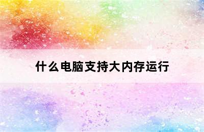 什么电脑支持大内存运行