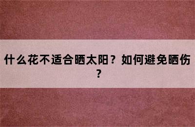 什么花不适合晒太阳？如何避免晒伤？