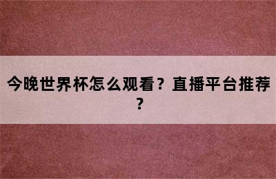 今晚世界杯怎么观看？直播平台推荐？