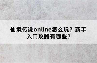 仙境传说online怎么玩？新手入门攻略有哪些？