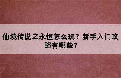 仙境传说之永恒怎么玩？新手入门攻略有哪些？