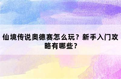 仙境传说奥德赛怎么玩？新手入门攻略有哪些？