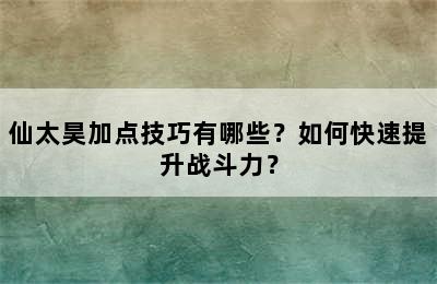 仙太昊加点技巧有哪些？如何快速提升战斗力？