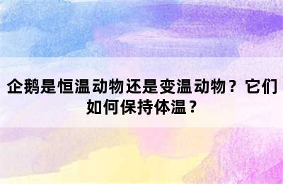 企鹅是恒温动物还是变温动物？它们如何保持体温？