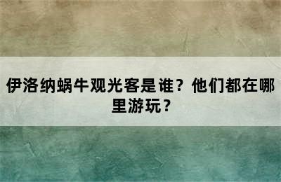 伊洛纳蜗牛观光客是谁？他们都在哪里游玩？